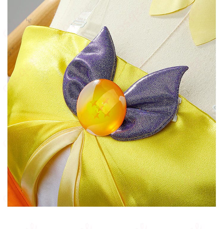 衣装の襟の豪華な刺繍とデザイン、精緻な仕上がり