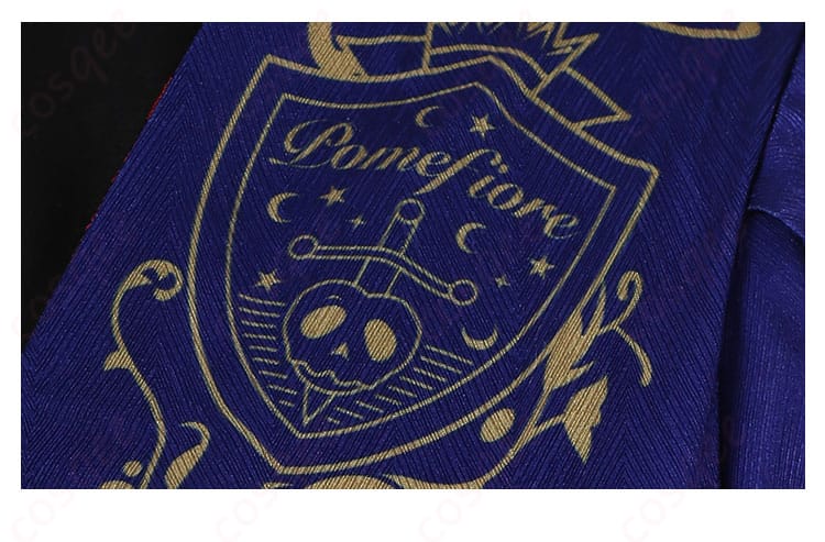 ヴィル・シェーンハイト コスプレ衣装のデザイン装飾