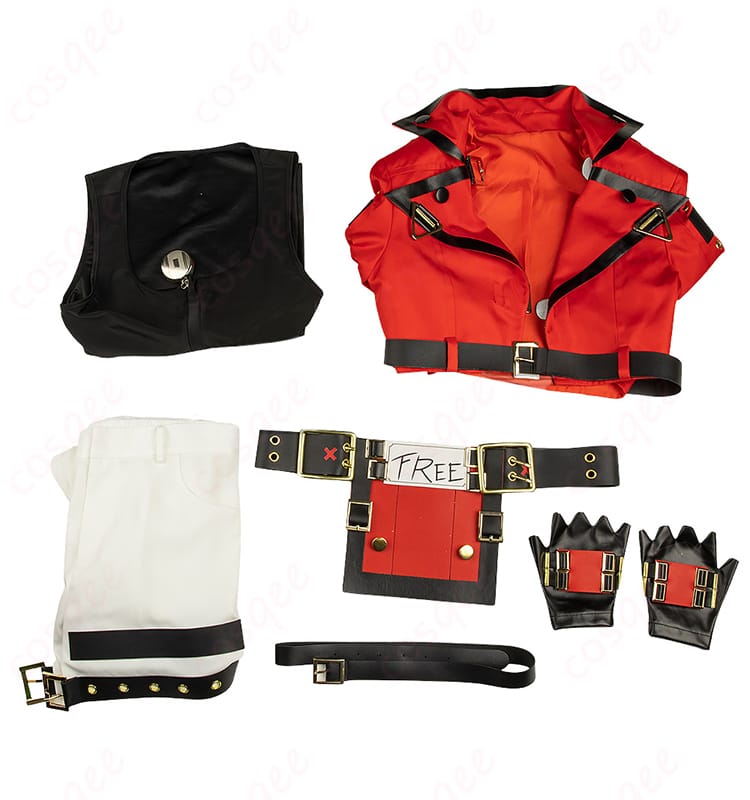 ソル=バッドガイ コスプレ衣装 セット内容。コート、トップス、ズボンなど、フルセットが確認できる画像です。