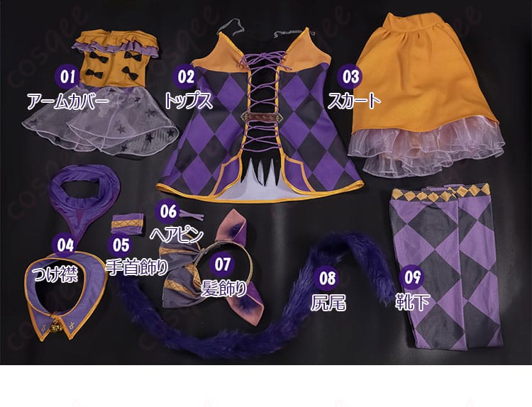 セット内容を示す画像。衣装に含まれるアイテムを詳細に見せています。