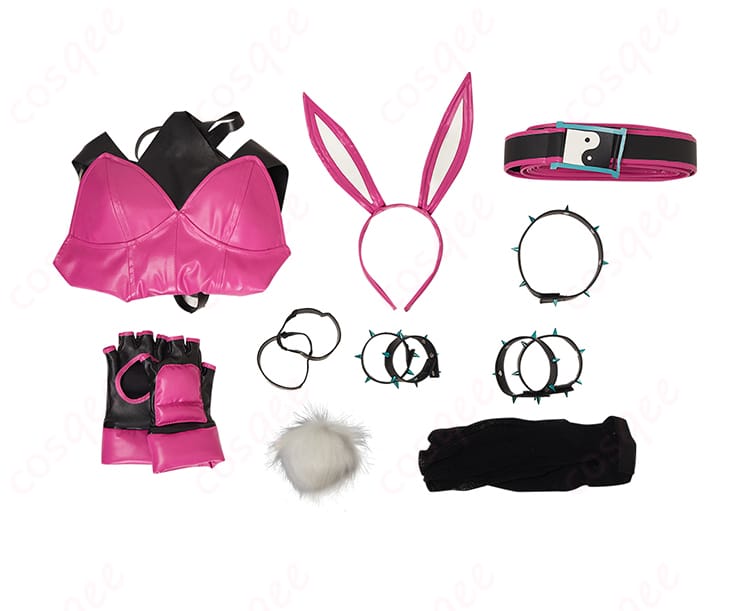 コスプレ衣装セット内容を展示した画像、レオタードやチョーカーなど全アイテムが揃ったセット。