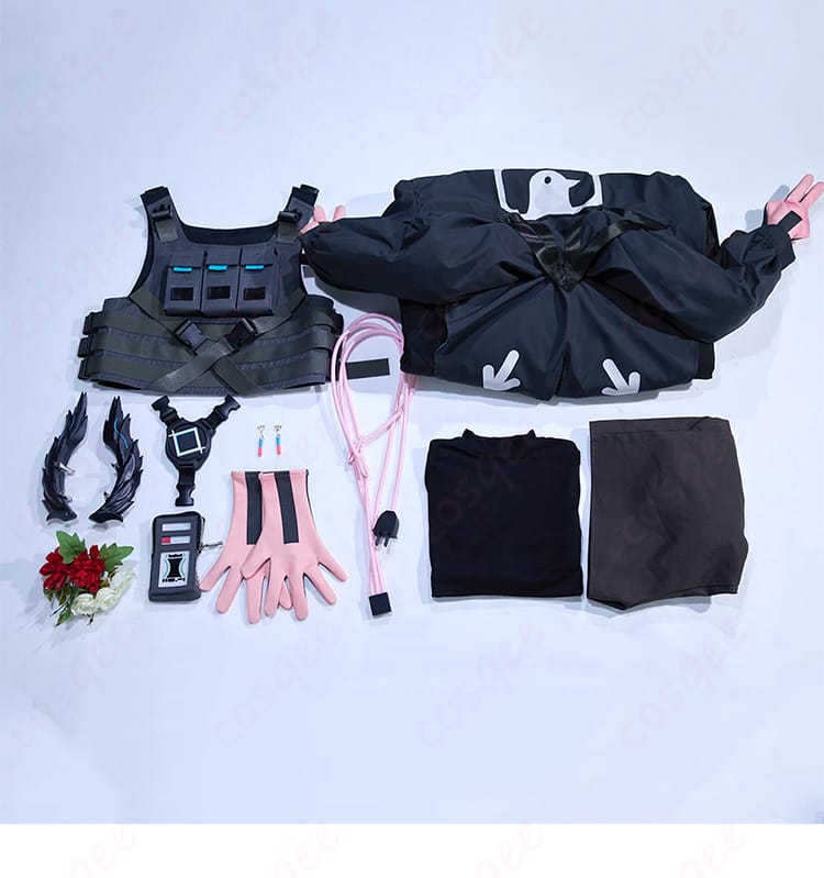 セット内容の展示画像。Raidian コスプレ衣装のセット内容を視覚的に確認できる画像。