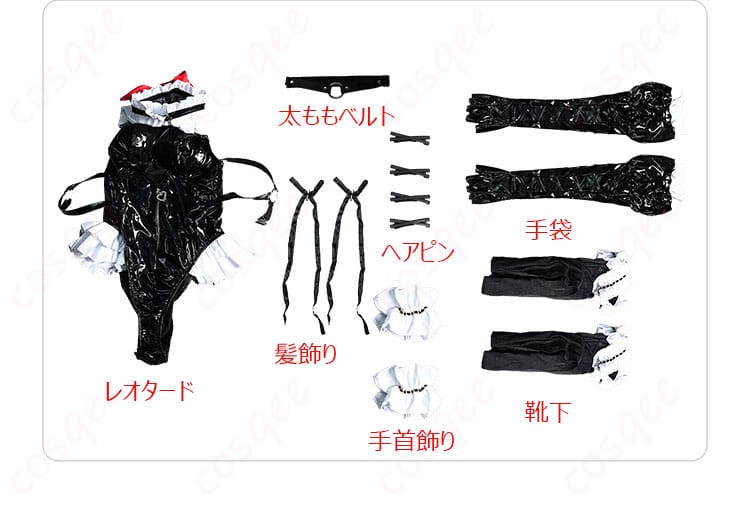 セット内容を紹介した画像。衣装のすべてのアイテムが並んでいる写真。