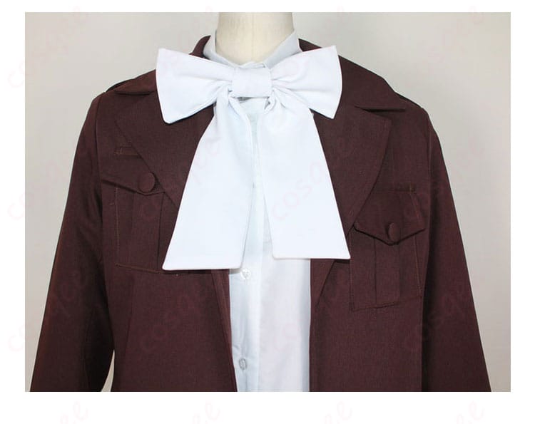 衣装上衣の装飾ディテール画像。アイスランドのコスプレ衣装上衣の装飾に焦点を当てた画像。