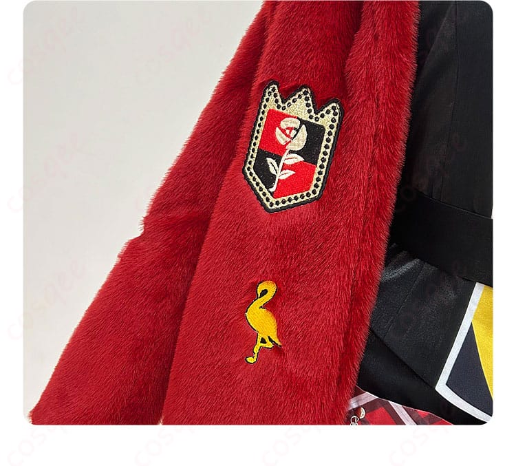 服装のアイコン装飾細部の画像 – コスプレ衣装のアイコン装飾ディテール