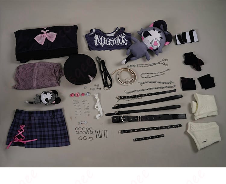 ラオーラ・パンテーラ私服コスプレ衣装のセット内容。すべてのアイテムがしっかり揃っています。