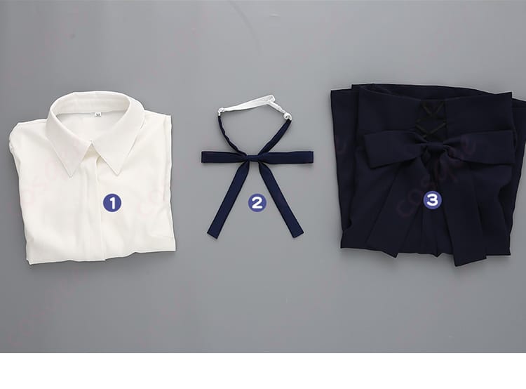 セット内容の展示画像|セイバー コスプレ衣装 セット内容紹介