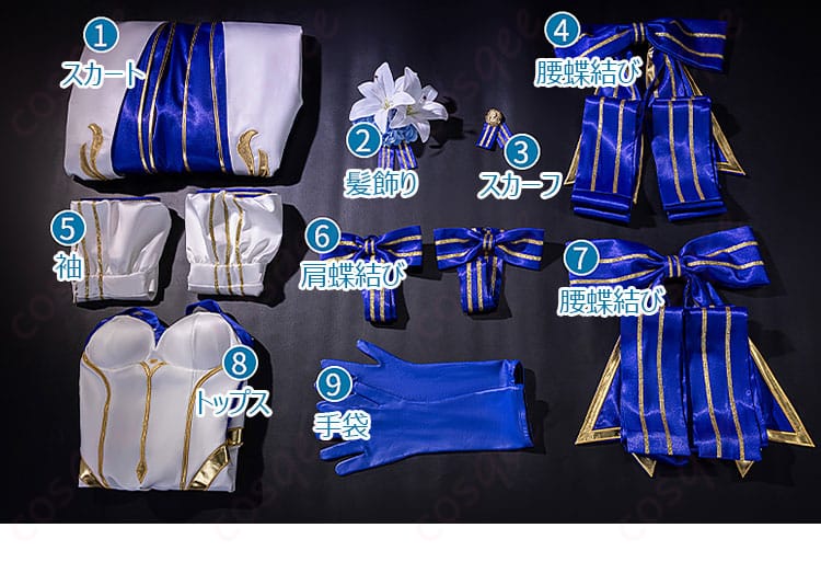 Fate/Grand Order アーキタイプ:アース アルクェイド・ブリュンスタッド コスプレ衣装-7
