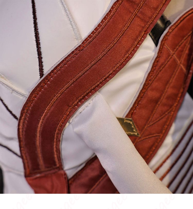 衣襟に走る暗紅色ストライプ装飾のアップ