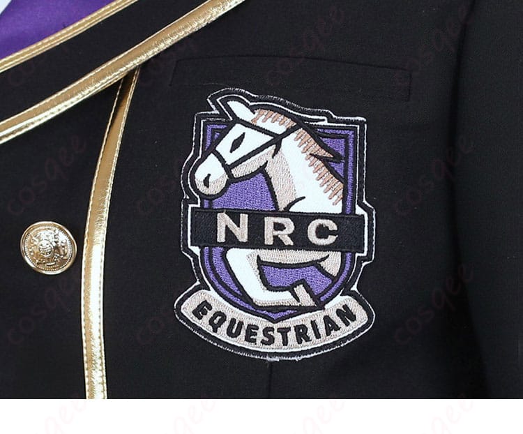 コート胸元の徽章装飾ディテール(ディアソムニア配色)