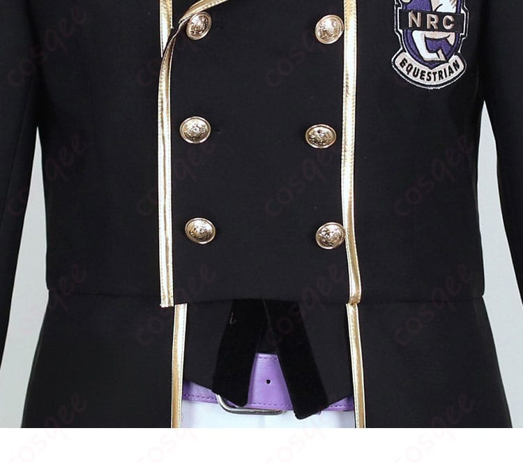 前立てボタンの質感と配置を示す近接写真