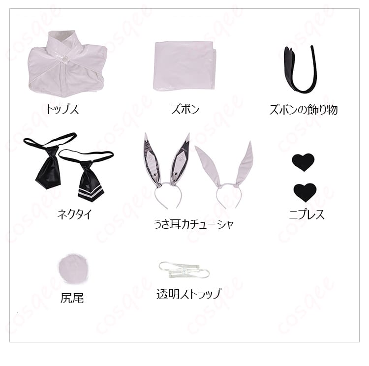 ブラン 逆バニー衣装のセット内容（トップス・ズボン・うさ耳・ネクタイ・尻尾・ニプレス・透明ストラップ・飾り物）一式画像
