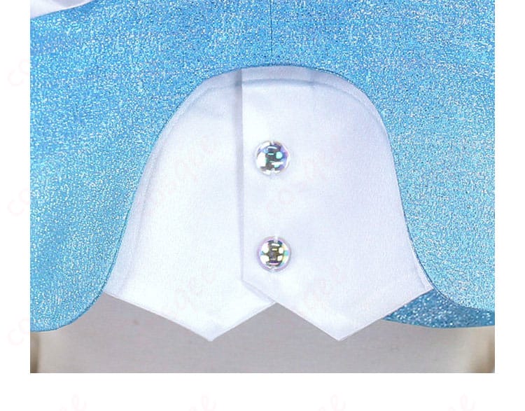 上衣のフロントボタン風装飾の詳細。位置と間隔の再現度を示す