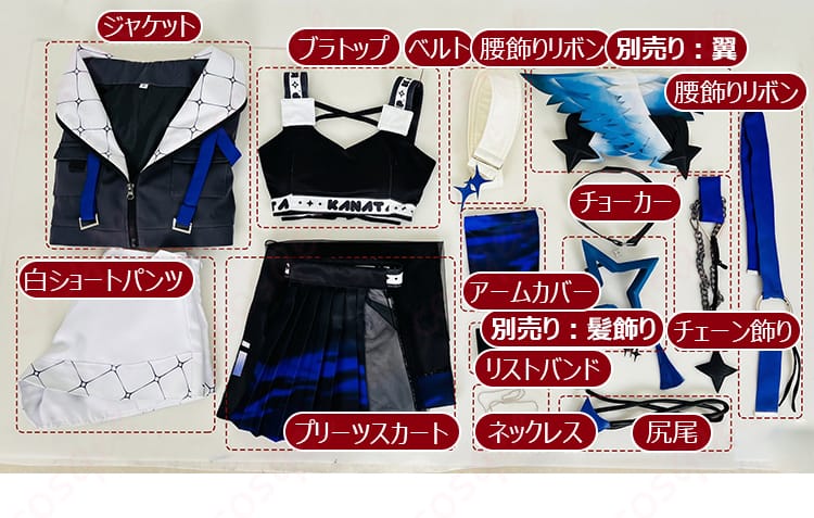 コスプレ衣装セット内容一覧。ジャケット、ブラトップ、ボトム、アクセ類、尻尾をレイアウト表示。