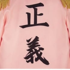 ONE PIECE たしぎ海軍G-5支部大佐衣装｜正義を纏う上品コスプレセット - 6枚目の画像（サムネイル）