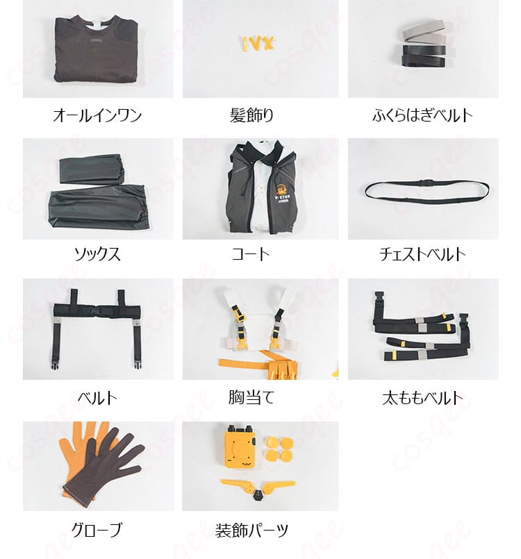 ヴェクター衣装のコート、胸当て、ベルト、グローブなどセット内容一覧