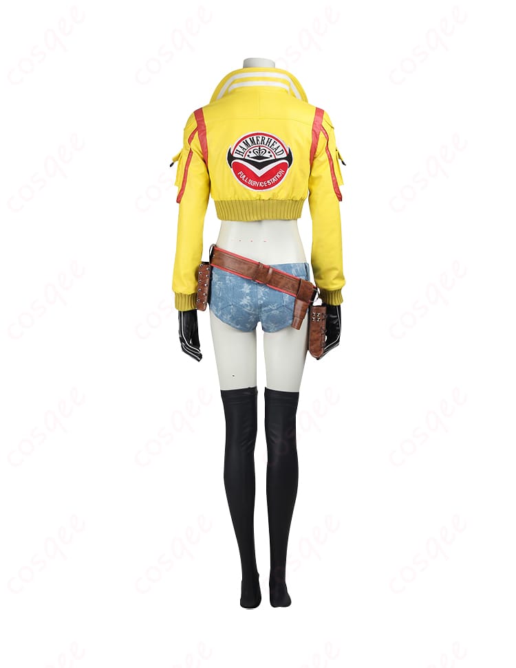 シドニー・オールム コスプレ衣装 背面、精密な装飾と縫製が確認できる。