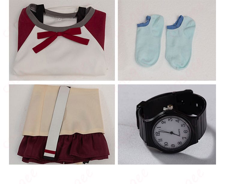 セット内容の展示画像