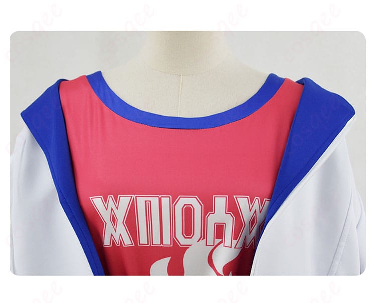 ポケモンSV ゼロの秘宝 後編・藍の円盤 スグリ コスプレ衣装 内部詳細画像