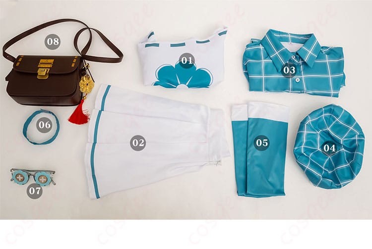 アニー・レスター衣装セット内容の全体像。すべてのアイテムが揃っています。