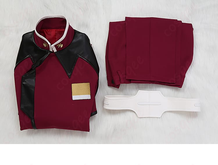 アスラン・ザラ コスプレ衣装 セット内容 - すべての必需品が揃ったコスプレセット