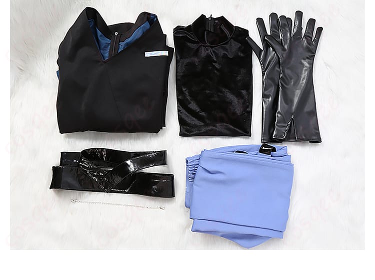 セット内容を展示した画像。コスプレ衣装に含まれるアイテムや装飾の全体像を紹介。