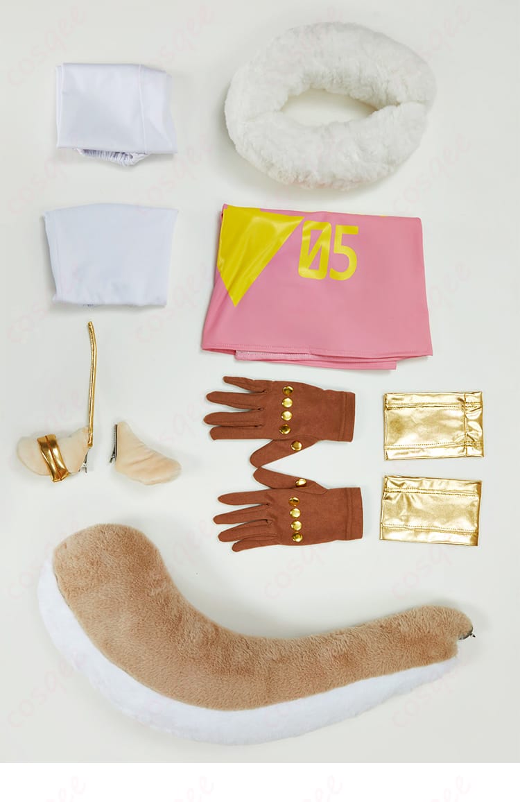 Dr.ベガパンク PUNK-05 暴(アトラス) コスプレ衣装のセット内容。コスプレに必要なアイテムが揃っています。