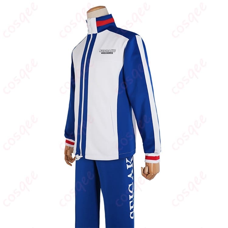 テニプリの越前リョーマを爽やかに再現する青春学園ジャージ上下セット - 4枚目の画像