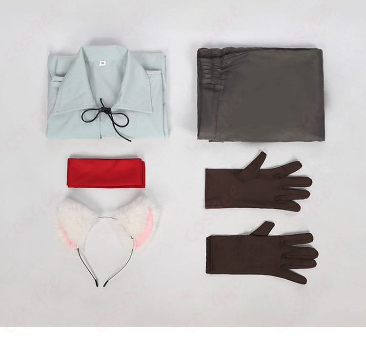 セット内容の表示、コスプレ衣装に含まれるアイテムの詳細。クエスティオン=アドニスのコスプレ衣装セット。