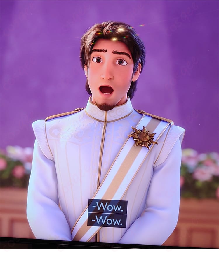 フリン・ライダー コスプレ衣装 『塔の上のラプンツェル』のキャラクター画像。ディズニープリンセスシリーズの勇敢な主人公、フリン・ライダーのコスプレ衣装を着用したシーン。