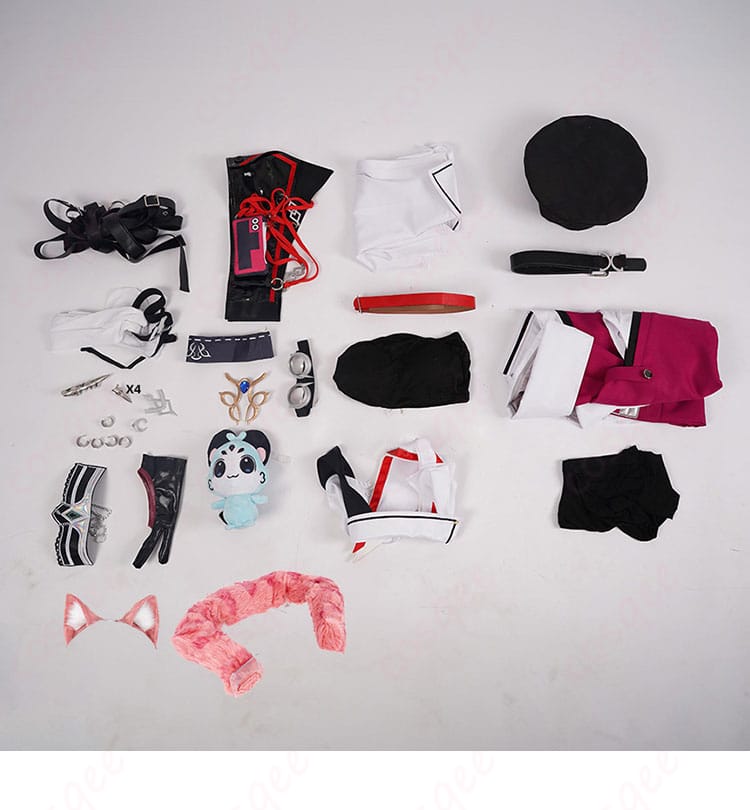 展示されているセット内容の写真。ラオーラ・パンテーラコスプレ衣装に含まれる全アイテムを紹介。