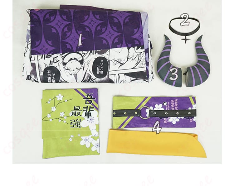 ラプラス・ダークネス コスプレ衣装のセット内容の全体像。衣装、ネックレス、髪飾りなどのアイテム。